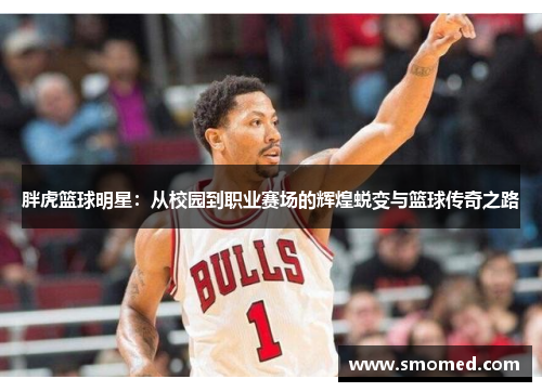 胖虎篮球明星：从校园到职业赛场的辉煌蜕变与篮球传奇之路